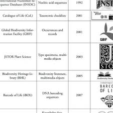 Image result for Pseudoeriosema borianii