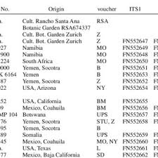 Image result for Thamnosma rhodesica