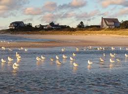 The price is $363 per night from jul 11 to jul 11$363. Blog Posts About Falmouth Massachusetts Cape Cod Real Estate And Information