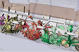 the evidence  the friends of the hunley