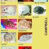 Maybe you would like to learn more about one of these? 3
