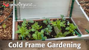 Raised bed cold frame raised bed cold frame. Diy Cold Frame Raised Garden Bed