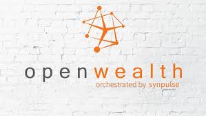 Client service associate , wealth management trainee , investments. Synpulse Management Consulting For Banking Insurance Synpulse