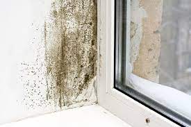 Black mold can leave a stain on the sill and cause a musty odor in your home. What To Do About Mold On Windows Modernize