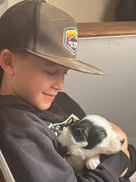 Double J Border Collies profilja