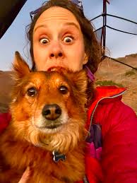 Can anyone recommend some decent protective dog shoes for a very active but  paw-accident prone bull terrier? Spent this morning at the vets yet again  getting Pink's front paw pad cleaned and