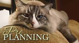 We are a 24/7 pet crematory funeral home that specializes in pet cremation. Locations Pets At Peace By Harris Funeral Home