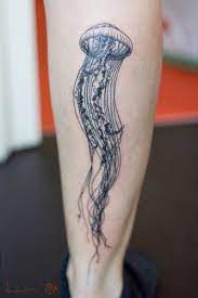Jelly Fish Tattoo Jellyfish Tattoo Feather Tattoos Back Tattoo