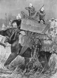 Tiger Hunting Art Prints, Posters & Puzzles