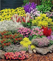 ᐅ palettenkissen & palettenpolster shop. Grosser Staudengarten 14 Pflanzen Gunstig Online Kaufen Mein Schoner Garten Shop