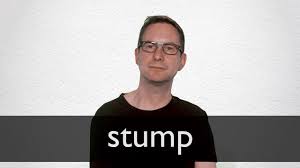Stump Definition And Meaning Collins English Dictionary
