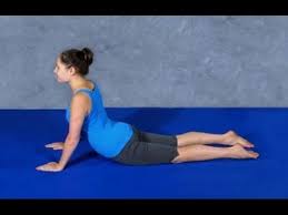 Gogus Buyutme Egzersizleri Video Sifa Market 0224 234 56 78 Youtube Ust Beden Egzersizleri Egzersiz Videolari Egzersiz