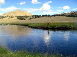 Fly Fishing On The South Platte River In Colorado