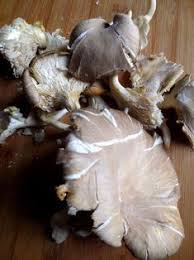 Tejfolos Gombaleves Soupe Aux Champignons A La Creme Sure Je Cuisine Donc Je Suis Soupe Champignon Creme De Champignons Champignon
