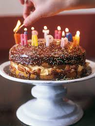 Birds Custard Powder Recipes Chocolate Birthday Custard Sponge Recipe Cake Custard Cake Cool Birthday Cakes