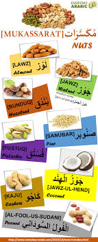 Everyday Arabic العربية لكل يوم Learning Arabic Arabic Language Spoken Arabic