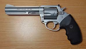 The charter arms bulldog was always the gun i imagined her carrying. Charter Arms Wikiwand