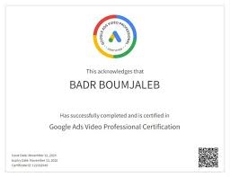 Google Ads Video Certification • Leila Husna • Skillshop