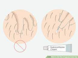 Pin On Hair Beauty That I Love