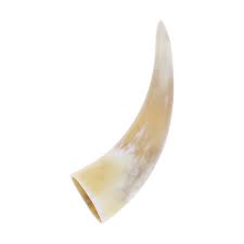 Polished Scandinavian Horn 15-20 cm | BUY ONLINE