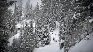Make sure you choose skate bindings and boots that are compatible with each other. One Problem With Skate Skiing It S Hard The New York Times