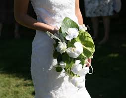 Check spelling or type a new query. Cheap Wedding Flowers Packages Broadmeadows Blooms