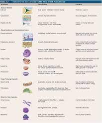 Biology College Teaching Biology Science Cells