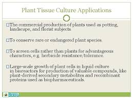 Maybe you would like to learn more about one of these? Plant Tissue Culture What Is Plant Tissue Culture