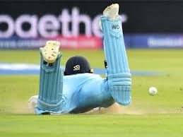 Image result for cricket