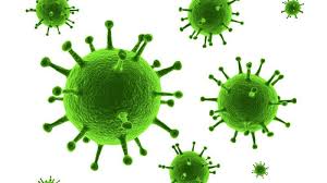 Hepatitis a is caused by a virus that infects liver cells and causes inflammation. á… Hepatitis A Ursachen Symptome Und Behandlung