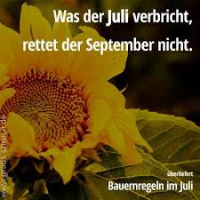 Bauernregeln Juli Sprüche Zitate Und Weisheiten