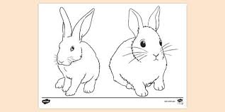 You want to see all of these mammals, bunny. Free Rabbit Colouring Colouring Sheets Teacher Made