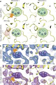 No Observable Conformational Changes In Psii Nature