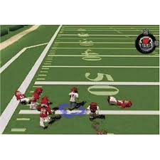 We bring you 5 plays that are guaranteed to score. Backyard Football Plays Renewfi