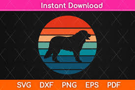 Download Bernese Mountain Dog Svg Png File Graphic By Graphic School Creative Fabrica SVG Cut Files