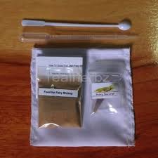Fairy Shrimp 10 000 Eggs Hatching Tools Kit Food For Fish Betta Killifish Guppy Betta Guppy Tool Kit