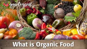 What Is Organic Food Youtube