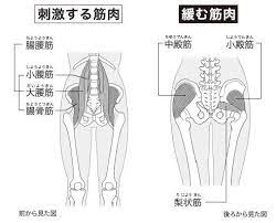 坐骨神経痛の症状にすぐに効く 鼠径部押し のやり方 ケンカツ health fitness rehabilitation