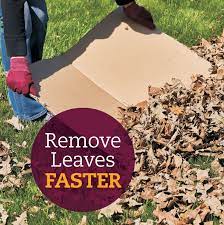 Fast Leaf Removal Autumn Garden Lawn Care Leaves