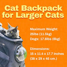 Choose one that's durable, waterproof, and large enough for your cat to turn around and stand inside without crouching. The Best Cat Backpack Carriers 2021 Cats Patrol