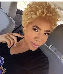 Short blonde hair for black women. Amazon Com Naseily Short Blonde Hair Wigs For Black Women Short Synthetic Wigs For African American Women Wigs Short Hairstyles Blonde Beauty