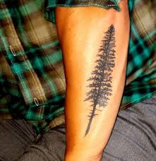 Forearm Evergreen Tree Tattoo Evergreen Tree Tattoo Tree Tattoo Meaning Tree Sleeve Tattoo