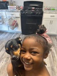 Lost dog found near 20th Benton