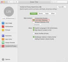 Into terminal did not work for me on m1 macbook air, and i saw online some others had the same issue, so here's how i fixed it. How To Block Youtube On Mac Easily 4 Proven Methods