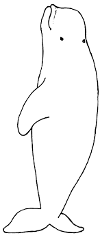 Some beluga coloring may be available for free. Amazing Coloring Pages Whales Printable Coloring Pages Whale Crafts Whale Coloring Pages Whale Illustration