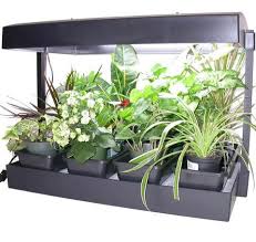 Check spelling or type a new query. Sunblaster T5ho Growlight Garden West Coast Seeds