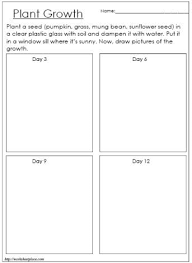 Plant Growth Chart Plant Science Plant Growth