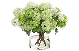 The vigorously growing hydrangea shrub symbolizes growth, heartfelt emotions, and prosperity. Ndi 16 Snowball In Cylinder Vase Faux One Kings Lane
