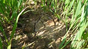 إجهاد الماء بواسطة طائرة بدون طيار