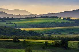 Weitere ideen zu landwirtschaft, wissen, rinderhaltung. Vision Landwirtschaft Sendung Netz Natur Landwirtschaft Mit Statt Gegen Die Natur Vision Landwirtschaft